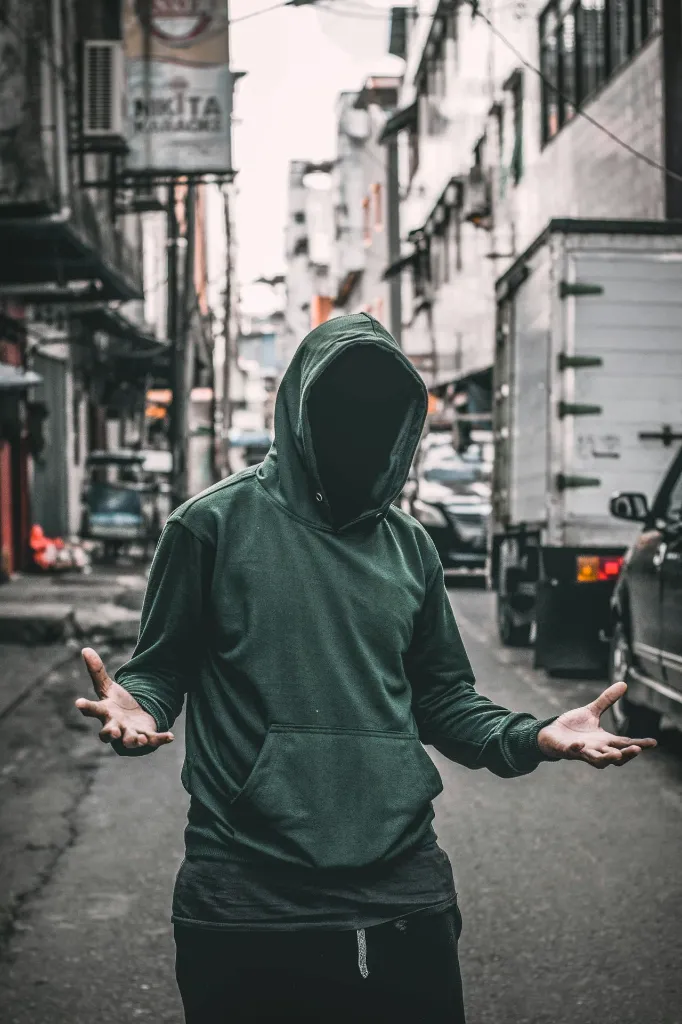 unsplash_s9q_bn-uLhg_hoodie.webp